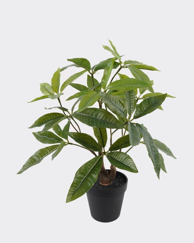 Artificial Table Plants 43*39*45cm Pachira macrocarpa in PP pot/60 Lvs GS-59524035 2024Oct YeahFlower is one of Chinese leading OEM manufacturers and exporters , supplying the silk flowers, wholesale artificial trees