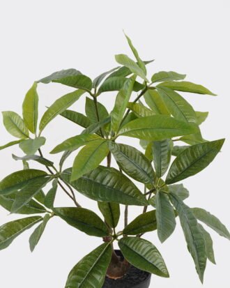 Artificial Table Plants 43*39*45cm Pachira macrocarpa in PP pot/60 Lvs GS-59524035 2024Oct YeahFlower is one of Chinese leading OEM manufacturers and exporters , supplying the silk flowers, wholesale artificial trees