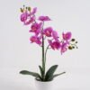 Artificial Table Plants Phalaenopsis 11 in PP pot GS-29424103_3 Artificial Table Plants 30*11*61cm Phalaenopsis *11 in PP pot GS-29424103 2024Oct YeahFlower is one of Chinese leading OEM manufacturers and exporters , supplying the silk flowers, wholesale artificial trees