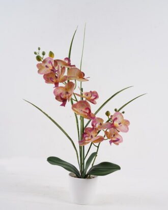 Artificial Table Plants 47*18*61cm Phalaenopsis *11 in PP pot GS-29424106 2024Oct YeahFlower is one of Chinese leading OEM manufacturers and exporters , supplying the silk flowers, wholesale artificial trees Artificial Table Plants 47*18*61cm Phalaenopsis *11 in PP pot GS-29424106 2024Oct YeahFlower is one of Chinese leading OEM manufacturers and exporters , supplying the silk flowers, wholesale artificial trees