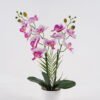 Artificial Table Plants 49*22*56cm Phalaenopsis *11 in PP pot GS-29424109 Potted Flowers&Plants 3,000+ sqm showroom with thousands of artificial flowers, plants & trees ready for global sourcing.