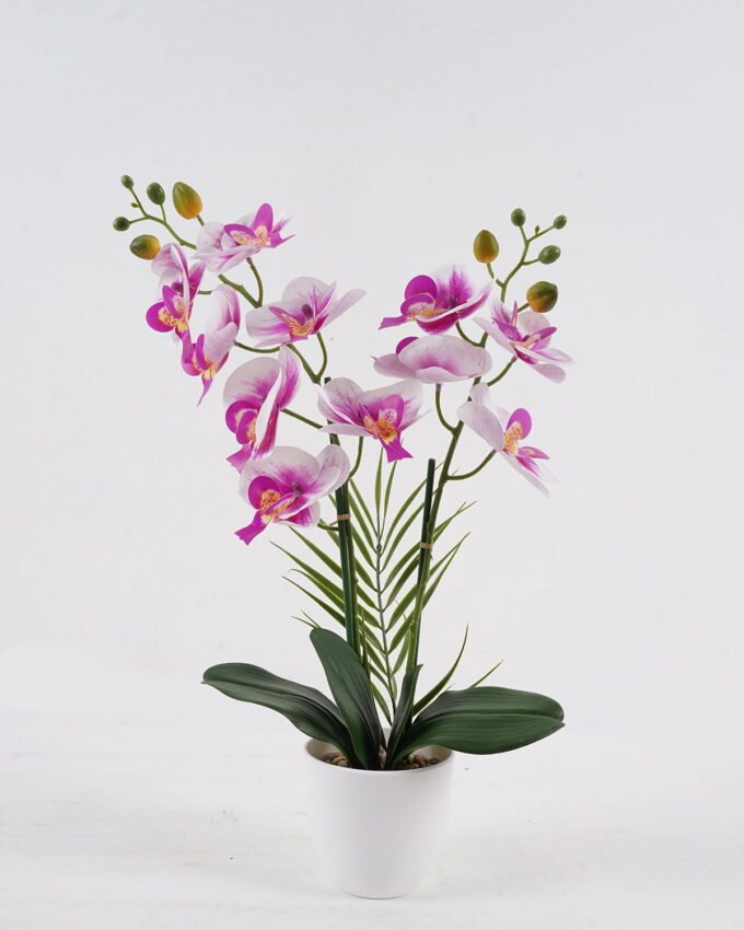 Artificial Table Plants 49*22*56cm Phalaenopsis *11 in PP pot GS-29424109 Potted Flowers&Plants 3,000+ sqm showroom with thousands of artificial flowers, plants & trees ready for global sourcing.