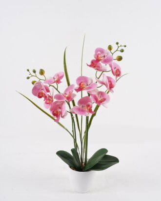 Artificial Table Plants 45*18*61cm Phalaenopsis *12 in PP pot GS-29424102 2024Oct YeahFlower is one of Chinese leading OEM manufacturers and exporters , supplying the silk flowers, wholesale artificial trees Artificial Table Plants 45*18*61cm Phalaenopsis *12 in PP pot GS-29424102 2024Oct YeahFlower is one of Chinese leading OEM manufacturers and exporters , supplying the silk flowers, wholesale artificial trees