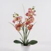 Artificial Table Plants Phalaenopsis 12 in PP pot GS-29424107_2 Artificial Table Plants 45*23*55cm Phalaenopsis *12 in PP pot GS-29424107 2024Oct YeahFlower is one of Chinese leading OEM manufacturers and exporters , supplying the silk flowers, wholesale artificial trees