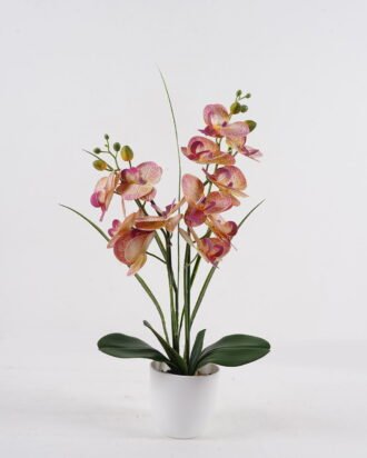 Artificial Table Plants 45*23*55cm Phalaenopsis *12 in PP pot GS-29424107 2024Oct YeahFlower is one of Chinese leading OEM manufacturers and exporters , supplying the silk flowers, wholesale artificial trees Artificial Table Plants 45*23*55cm Phalaenopsis *12 in PP pot GS-29424107 2024Oct YeahFlower is one of Chinese leading OEM manufacturers and exporters , supplying the silk flowers, wholesale artificial trees