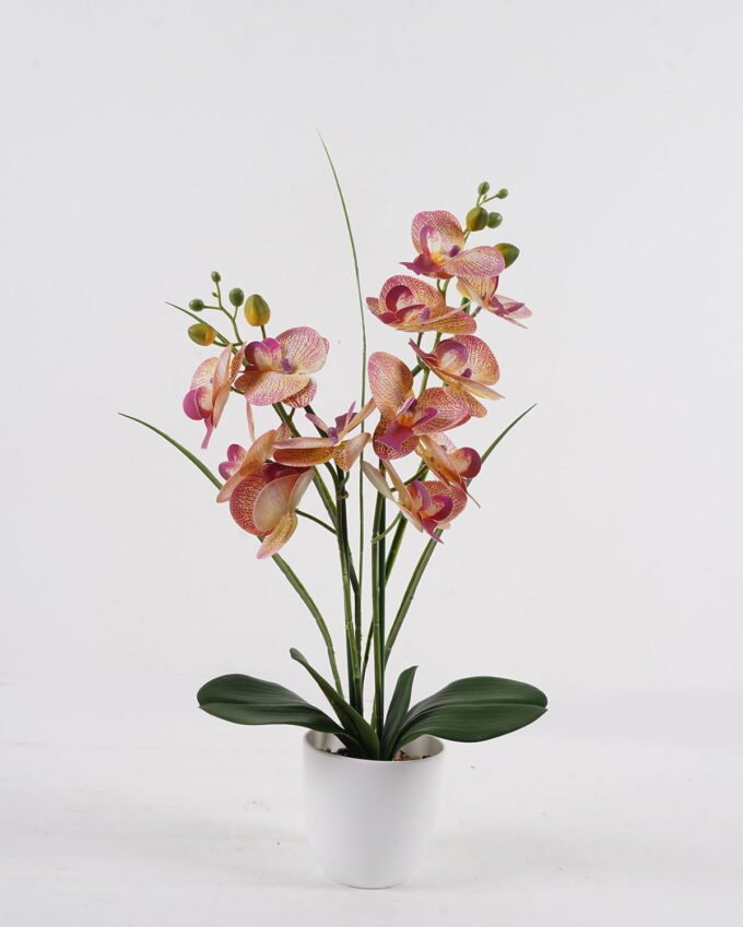 Artificial Table Plants Phalaenopsis 12 in PP pot GS-29424107_2 Artificial Table Plants 45*23*55cm Phalaenopsis *12 in PP pot GS-29424107 2024Oct YeahFlower is one of Chinese leading OEM manufacturers and exporters , supplying the silk flowers, wholesale artificial trees