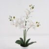 Artificial Table Plants Phalaenopsis 14 in PP pot GS-29424105_5 Artificial Table Plants 38*15*61cm Phalaenopsis *14 in PP pot GS-29424105 2024Oct YeahFlower is one of Chinese leading OEM manufacturers and exporters , supplying the silk flowers, wholesale artificial trees