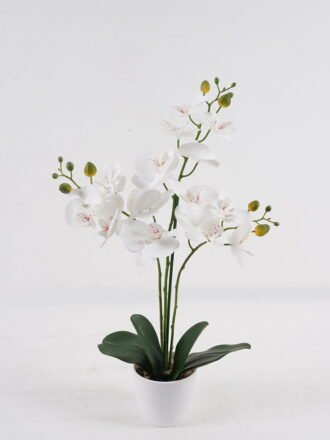 Artificial Table Plants 30*30*50cm Olive tree in PP pot GS-29824059 Potted Flowers&Plants 3,000+ sqm showroom with thousands of artificial flowers, plants & trees ready for global sourcing.
