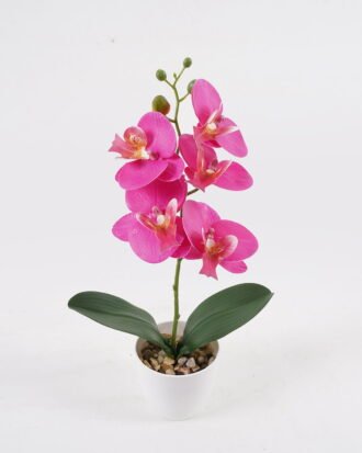 Artificial Table Plants 17*11*41cm Phalaenopsis *5 in PP pot GS-29424100 2024Oct YeahFlower is one of Chinese leading OEM manufacturers and exporters , supplying the silk flowers, wholesale artificial trees Artificial Table Plants 17*11*41cm Phalaenopsis *5 in PP pot GS-29424100 2024Oct YeahFlower is one of Chinese leading OEM manufacturers and exporters , supplying the silk flowers, wholesale artificial trees