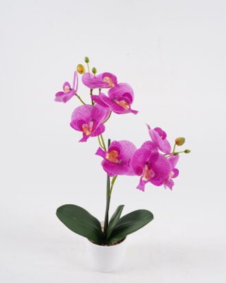 Artificial Table Plants 30*17*46cm Phalaenopsis *8 in PP pot GS-29424101 2024Oct YeahFlower is one of Chinese leading OEM manufacturers and exporters , supplying the silk flowers, wholesale artificial trees Artificial Table Plants 30*17*46cm Phalaenopsis *8 in PP pot GS-29424101 2024Oct YeahFlower is one of Chinese leading OEM manufacturers and exporters , supplying the silk flowers, wholesale artificial trees