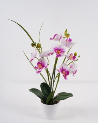 Artificial Table Plants 40*26*51cm Phalaenopsis *9 in PP pot GS-29424104 2024Oct YeahFlower is one of Chinese leading OEM manufacturers and exporters , supplying the silk flowers, wholesale artificial trees Artificial Table Plants 40*26*51cm Phalaenopsis *9 in PP pot GS-29424104 2024Oct YeahFlower is one of Chinese leading OEM manufacturers and exporters , supplying the silk flowers, wholesale artificial trees