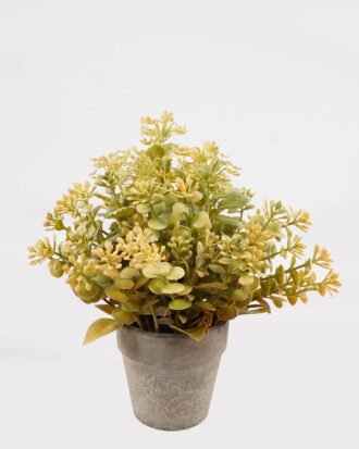 Artificial Table Plants 19*19*22cm Plant in PaPer PulP pot GS-73724034-Y2 2024Oct YeahFlower is one of Chinese leading OEM manufacturers and exporters , supplying the silk flowers, wholesale artificial trees Artificial Table Plants 19*19*22cm Plant in PaPer PulP pot GS-73724034-Y2 2024Oct YeahFlower is one of Chinese leading OEM manufacturers and exporters , supplying the silk flowers, wholesale artificial trees