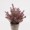 Artificial Table Plants Plant in PaPer PulP pot GS-73724035-Z1_2 Artificial Table Plants 15*15*23cm Plant in PaPer PulP pot GS-73724035-Z1 2024Oct YeahFlower is one of Chinese leading OEM manufacturers and exporters , supplying the silk flowers, wholesale artificial trees