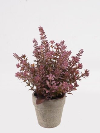 Artificial Table Plants 18*18*17cm Plants in PP pot GS-73724036 Potted Flowers&Plants 3,000+ sqm showroom with thousands of artificial flowers, plants & trees ready for global sourcing.