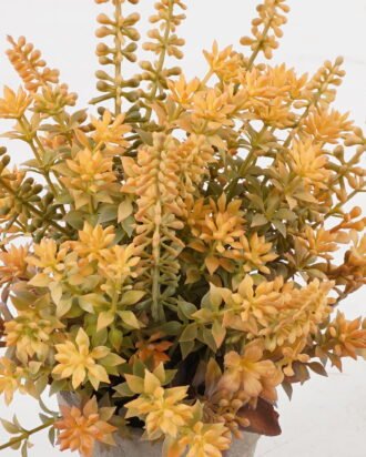 Artificial Table Plants 15*15*23cm Plant in PaPer PulP pot GS-73724035 2024Oct YeahFlower is one of Chinese leading OEM manufacturers and exporters , supplying the silk flowers, wholesale artificial trees Artificial Table Plants 15*15*23cm Plant in PaPer PulP pot GS-73724035 2024Oct YeahFlower is one of Chinese leading OEM manufacturers and exporters , supplying the silk flowers, wholesale artificial trees