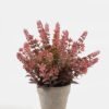 Artificial Table Plants Plant in PaPer PulP pot GS-73724035_4 Artificial Table Plants 15*15*23cm Plant in PaPer PulP pot GS-73724035 2024Oct YeahFlower is one of Chinese leading OEM manufacturers and exporters , supplying the silk flowers, wholesale artificial trees