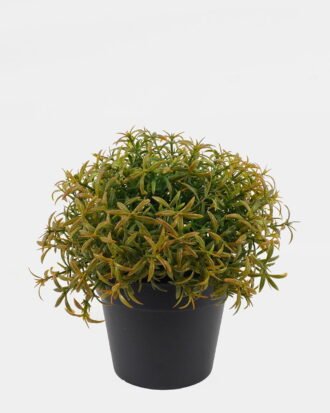Artificial Table Plants 18*18*17cm Plants in PP pot GS-73724036-G2 2024Oct YeahFlower is one of Chinese leading OEM manufacturers and exporters , supplying the silk flowers, wholesale artificial trees Artificial Table Plants 18*18*17cm Plants in PP pot GS-73724036-G2 2024Oct YeahFlower is one of Chinese leading OEM manufacturers and exporters , supplying the silk flowers, wholesale artificial trees