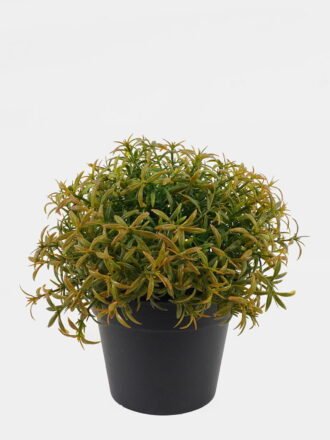 Artificial Table Plants 18*18*17cm Plants in PP pot GS-73724036 Potted Flowers&Plants 3,000+ sqm showroom with thousands of artificial flowers, plants & trees ready for global sourcing.