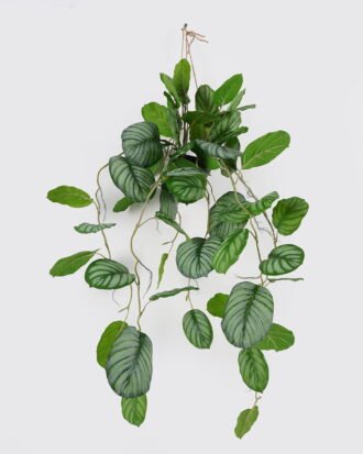 Artificial Table Plants 50*50*104cm Roundleaf *2  in PP pot GS-14524015 2024Oct YeahFlower is one of Chinese leading OEM manufacturers and exporters , supplying the silk flowers, wholesale artificial trees