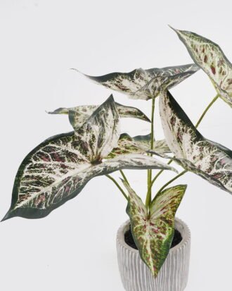 Artificial Table Plants 30*30*36ccm Taro leaf *7  in Cement pot GS-14524016 2024Oct YeahFlower is one of Chinese leading OEM manufacturers and exporters , supplying the silk flowers, wholesale artificial trees