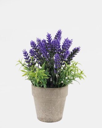 Artificial Table Plants 12*12*30cm lavender in PaPer PulP pot GS-73724032 2024Oct YeahFlower is one of Chinese leading OEM manufacturers and exporters , supplying the silk flowers, wholesale artificial trees Artificial Table Plants 12*12*30cm lavender in PaPer PulP pot GS-73724032 2024Oct YeahFlower is one of Chinese leading OEM manufacturers and exporters , supplying the silk flowers, wholesale artificial trees