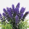 Artificial Table Plants lavender in PaPer PulP pot GS-73724032_5 Artificial Table Plants 12*12*30cm lavender in PaPer PulP pot GS-73724032 2024Oct YeahFlower is one of Chinese leading OEM manufacturers and exporters , supplying the silk flowers, wholesale artificial trees