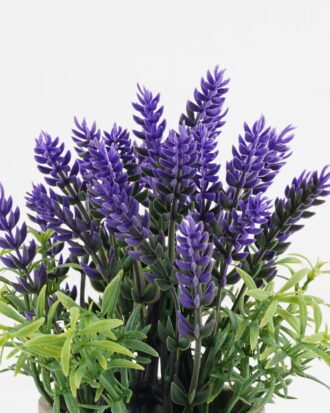 Artificial Table Plants 12*12*30cm lavender in PaPer PulP pot GS-73724032 2024Oct YeahFlower is one of Chinese leading OEM manufacturers and exporters , supplying the silk flowers, wholesale artificial trees Artificial Table Plants 12*12*30cm lavender in PaPer PulP pot GS-73724032 2024Oct YeahFlower is one of Chinese leading OEM manufacturers and exporters , supplying the silk flowers, wholesale artificial trees