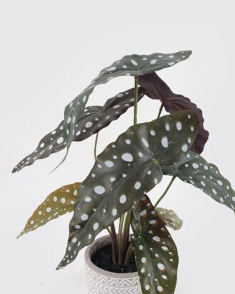 Artificial Table Plants 35*35*41cm leaf in Cement pot/9 lvs GS-14524012 2024Oct YeahFlower is one of Chinese leading OEM manufacturers and exporters , supplying the silk flowers, wholesale artificial trees