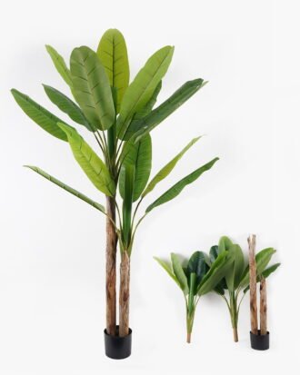 Artificial Tree 2M Banana Tree GS-3040144KD-POST 2024Oct YeahFlower is one of Chinese leading OEM manufacturers and exporters , supplying the silk flowers, wholesale artificial trees Artificial Tree 2M Banana Tree GS-3040144KD-POST 2024Oct YeahFlower is one of Chinese leading OEM manufacturers and exporters , supplying the silk flowers, wholesale artificial trees
