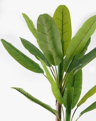 Artificial Tree 2M Banana Tree GS-3040144KD-POST 2024Oct YeahFlower is one of Chinese leading OEM manufacturers and exporters , supplying the silk flowers, wholesale artificial trees Artificial Tree 2M Banana Tree GS-3040144KD-POST 2024Oct YeahFlower is one of Chinese leading OEM manufacturers and exporters , supplying the silk flowers, wholesale artificial trees