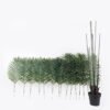 Artificial Tree 100*100*210cm Actinodendron *15 in PP pot/15 lvs GS-30424055KD 2024Oct YeahFlower is one of Chinese leading OEM manufacturers and exporters , supplying the silk flowers, wholesale artificial trees
