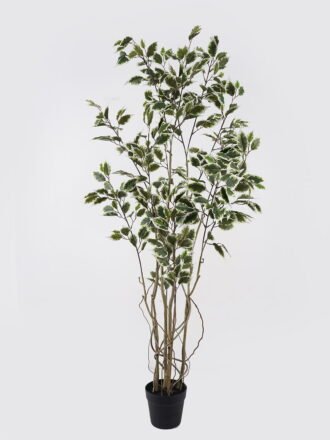 Artificial Tree 60*60*170cm Banyan *8 in PP pot GS-48524043 Tree&Plant 3,000+ sqm showroom with thousands of artificial flowers, plants & trees ready for global sourcing.