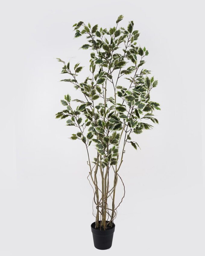 Artificial Tree 69*66*150cm Banyan  *8 in PP pot GS-48524042 2024Oct YeahFlower is one of Chinese leading OEM manufacturers and exporters , supplying the silk flowers, wholesale artificial trees