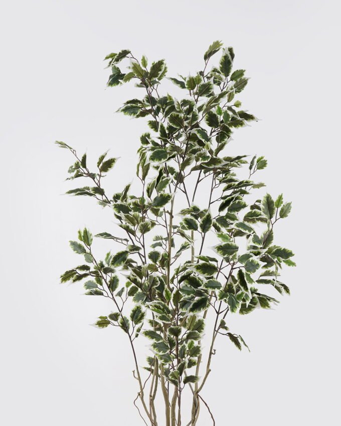 Artificial Tree 69*66*150cm Banyan  *8 in PP pot GS-48524042 2024Oct YeahFlower is one of Chinese leading OEM manufacturers and exporters , supplying the silk flowers, wholesale artificial trees