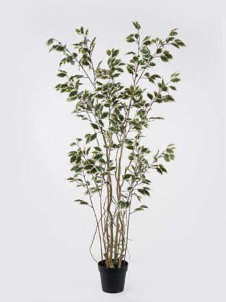 Artificial Tree 69*66*150cm Banyan  *8 in PP pot GS-48524042 Tree&Plant 3,000+ sqm showroom with thousands of artificial flowers, plants & trees ready for global sourcing.