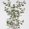 Artificial Tree Banyan 8 in PP pot GS-48524043_7 Artificial Tree 60*60*170cm Banyan *8 in PP pot GS-48524043 2024Oct YeahFlower is one of Chinese leading OEM manufacturers and exporters , supplying the silk flowers, wholesale artificial trees