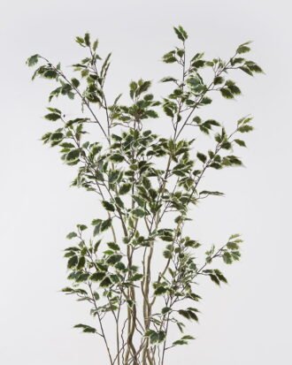 Artificial Tree 60*60*170cm Banyan *8 in PP pot GS-48524043 2024Oct YeahFlower is one of Chinese leading OEM manufacturers and exporters , supplying the silk flowers, wholesale artificial trees Artificial Tree 60*60*170cm Banyan *8 in PP pot GS-48524043 2024Oct YeahFlower is one of Chinese leading OEM manufacturers and exporters , supplying the silk flowers, wholesale artificial trees