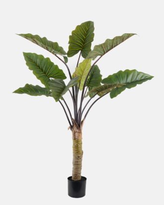 Artificial Tree 97*78*160cm Caladium bicolor in PP pot/10 lvs GS-48524044 2024Oct YeahFlower is one of Chinese leading OEM manufacturers and exporters , supplying the silk flowers, wholesale artificial trees Artificial Tree 97*78*160cm Caladium bicolor in PP pot/10 lvs GS-48524044 2024Oct YeahFlower is one of Chinese leading OEM manufacturers and exporters , supplying the silk flowers, wholesale artificial trees