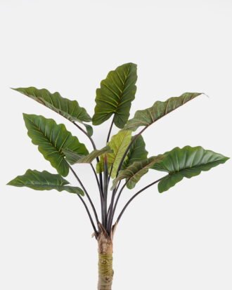 Artificial Tree 97*78*160cm Caladium bicolor in PP pot/10 lvs GS-48524044 2024Oct YeahFlower is one of Chinese leading OEM manufacturers and exporters , supplying the silk flowers, wholesale artificial trees Artificial Tree 97*78*160cm Caladium bicolor in PP pot/10 lvs GS-48524044 2024Oct YeahFlower is one of Chinese leading OEM manufacturers and exporters , supplying the silk flowers, wholesale artificial trees