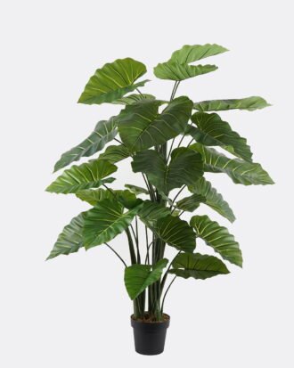 Artificial Tree 110*100*150cm Colocasia *3 in PP pot/26 lvs GS-30424061 2024Oct YeahFlower is one of Chinese leading OEM manufacturers and exporters , supplying the silk flowers, wholesale artificial trees Artificial Tree 110*100*150cm Colocasia *3 in PP pot/26 lvs GS-30424061 2024Oct YeahFlower is one of Chinese leading OEM manufacturers and exporters , supplying the silk flowers, wholesale artificial trees