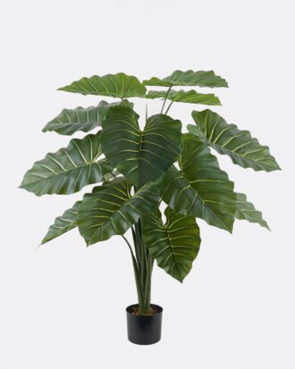 Artificial Tree 110*100*120cm Colocasia in PP pot/15 lvs GS-30424060 2024Oct YeahFlower is one of Chinese leading OEM manufacturers and exporters , supplying the silk flowers, wholesale artificial trees Artificial Tree 110*100*120cm Colocasia in PP pot/15 lvs GS-30424060 2024Oct YeahFlower is one of Chinese leading OEM manufacturers and exporters , supplying the silk flowers, wholesale artificial trees