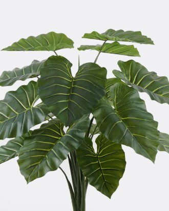 Artificial Tree 110*100*120cm Colocasia in PP pot/15 lvs GS-30424060 2024Oct YeahFlower is one of Chinese leading OEM manufacturers and exporters , supplying the silk flowers, wholesale artificial trees Artificial Tree 110*100*120cm Colocasia in PP pot/15 lvs GS-30424060 2024Oct YeahFlower is one of Chinese leading OEM manufacturers and exporters , supplying the silk flowers, wholesale artificial trees