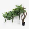 Artificial Tree Colocasia in PP pot 49 lvs GS-30424057KD_3 Artificial Tree 120*120*210cm Colocasia in PP pot/49 lvs GS-30424057KD 2024Oct YeahFlower is one of Chinese leading OEM manufacturers and exporters , supplying the silk flowers, wholesale artificial trees
