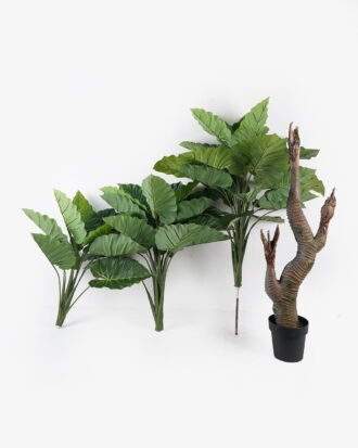 Artificial Tree 120*120*210cm Colocasia in PP pot/49 lvs GS-30424057KD 2024Oct YeahFlower is one of Chinese leading OEM manufacturers and exporters , supplying the silk flowers, wholesale artificial trees Artificial Tree 120*120*210cm Colocasia in PP pot/49 lvs GS-30424057KD 2024Oct YeahFlower is one of Chinese leading OEM manufacturers and exporters , supplying the silk flowers, wholesale artificial trees