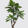 Artificial Tree Colocasia in PP pot 49 lvs GS-30424057KD_4 Artificial Tree 120*120*210cm Colocasia in PP pot/49 lvs GS-30424057KD 2024Oct YeahFlower is one of Chinese leading OEM manufacturers and exporters , supplying the silk flowers, wholesale artificial trees