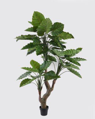 Artificial Tree 120*120*210cm Colocasia in PP pot/49 lvs GS-30424057KD 2024Oct YeahFlower is one of Chinese leading OEM manufacturers and exporters , supplying the silk flowers, wholesale artificial trees Artificial Tree 120*120*210cm Colocasia in PP pot/49 lvs GS-30424057KD 2024Oct YeahFlower is one of Chinese leading OEM manufacturers and exporters , supplying the silk flowers, wholesale artificial trees