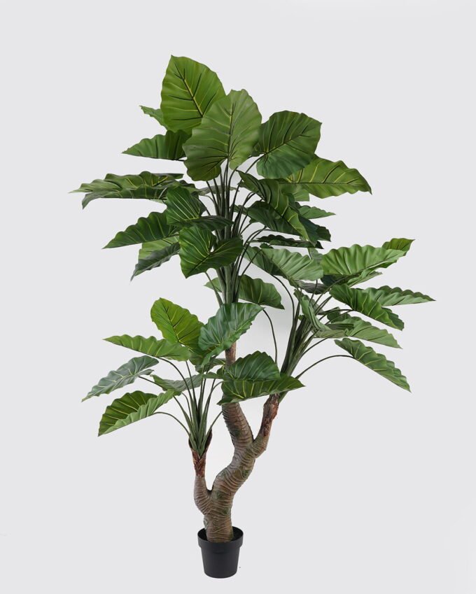 Artificial Tree Colocasia in PP pot 49 lvs GS-30424057KD_4 Artificial Tree 120*120*210cm Colocasia in PP pot/49 lvs GS-30424057KD 2024Oct YeahFlower is one of Chinese leading OEM manufacturers and exporters , supplying the silk flowers, wholesale artificial trees