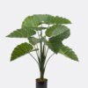 Artificial Tree Colocasia in PP pot 9lvs GS-30424059_4 Artificial Tree 85*80*90cm Colocasia in PP pot/9lvs GS-30424059 2024Oct YeahFlower is one of Chinese leading OEM manufacturers and exporters , supplying the silk flowers, wholesale artificial trees