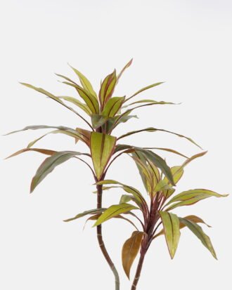 Artificial Tree 70*60*80cm Cordyline terminalis *2 in PP pot/42 lvs GS-48524045 2024Oct YeahFlower is one of Chinese leading OEM manufacturers and exporters , supplying the silk flowers, wholesale artificial trees Artificial Tree 70*60*80cm Cordyline terminalis *2 in PP pot/42 lvs GS-48524045 2024Oct YeahFlower is one of Chinese leading OEM manufacturers and exporters , supplying the silk flowers, wholesale artificial trees