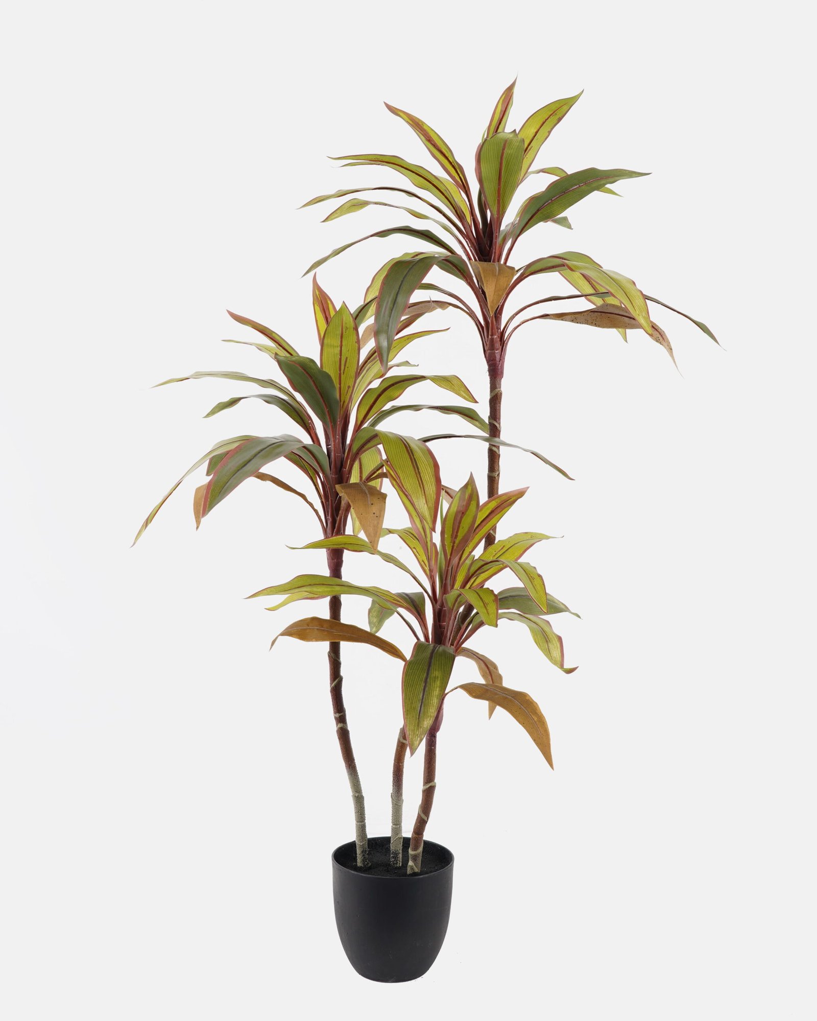 Artificial Tree 73*70*120cm Cordyline terminalis *3 in PP pot/63 lvs GS-48524046 2024Oct YeahFlower is one of Chinese leading OEM manufacturers and exporters , supplying the silk flowers, wholesale artificial trees Artificial Tree 73*70*120cm Cordyline terminalis *3 in PP pot/63 lvs GS-48524046 2024Oct YeahFlower is one of Chinese leading OEM manufacturers and exporters , supplying the silk flowers, wholesale artificial trees